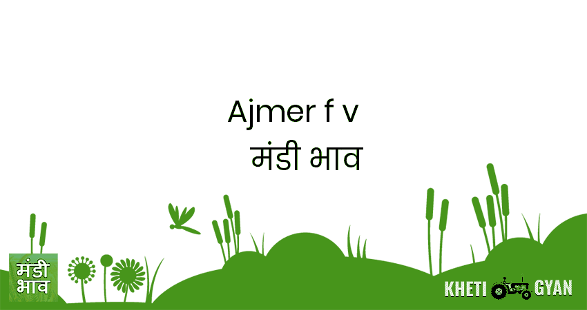 Ajmer(F&V) मंडी भाव की ताज़ा तस्वीर